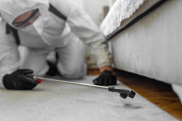 Professional Bed Bug Control technician working in New Castle, DE