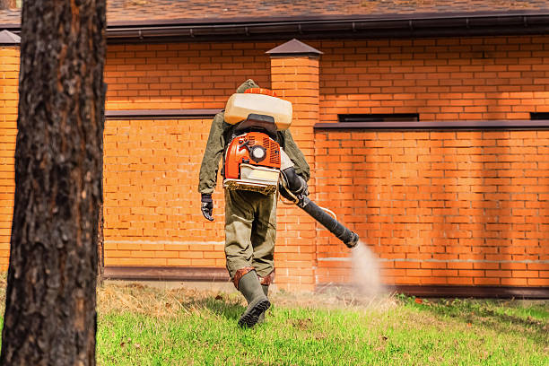 Trusted Bed Bug Control service in New Castle, DE - Nex Pest Control
